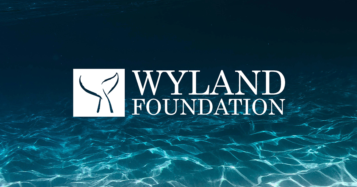 Wyland Foundation logo over deep blue ocean water